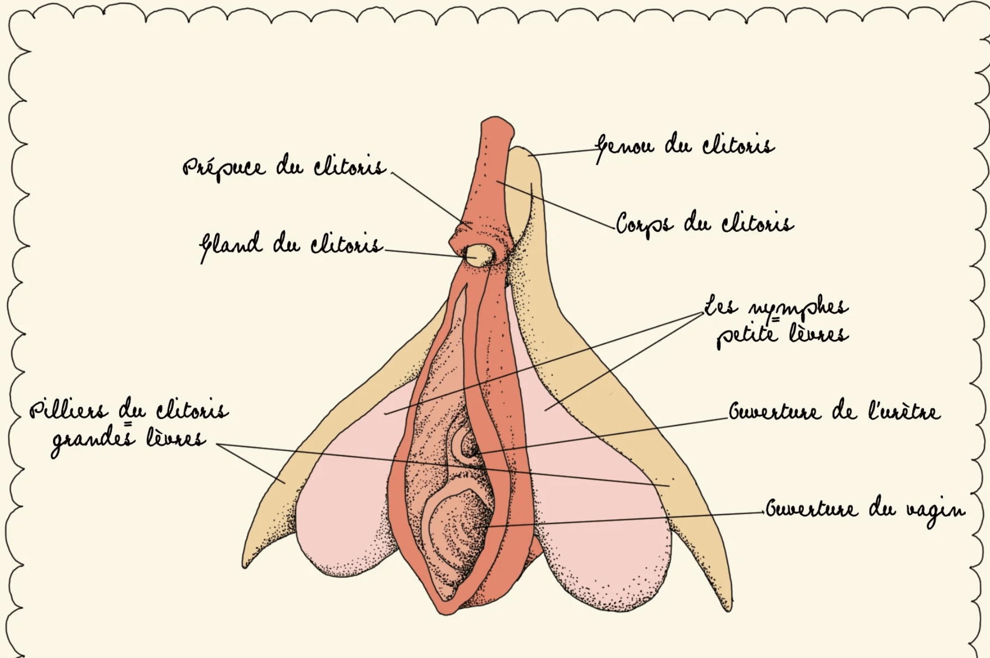 Je n’arrive pas à jouir : quels sextoys peuvent aider ?